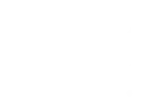 Big Bus Tours