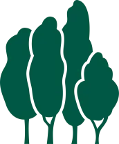 Fast Growing Trees Nursery