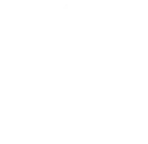 Orchard Corset