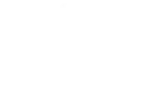 Paragon Sports