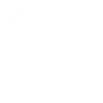 Purple Carrot