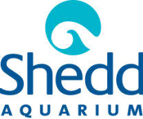 Shedd Aquarium