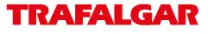 Trafalgar Tours